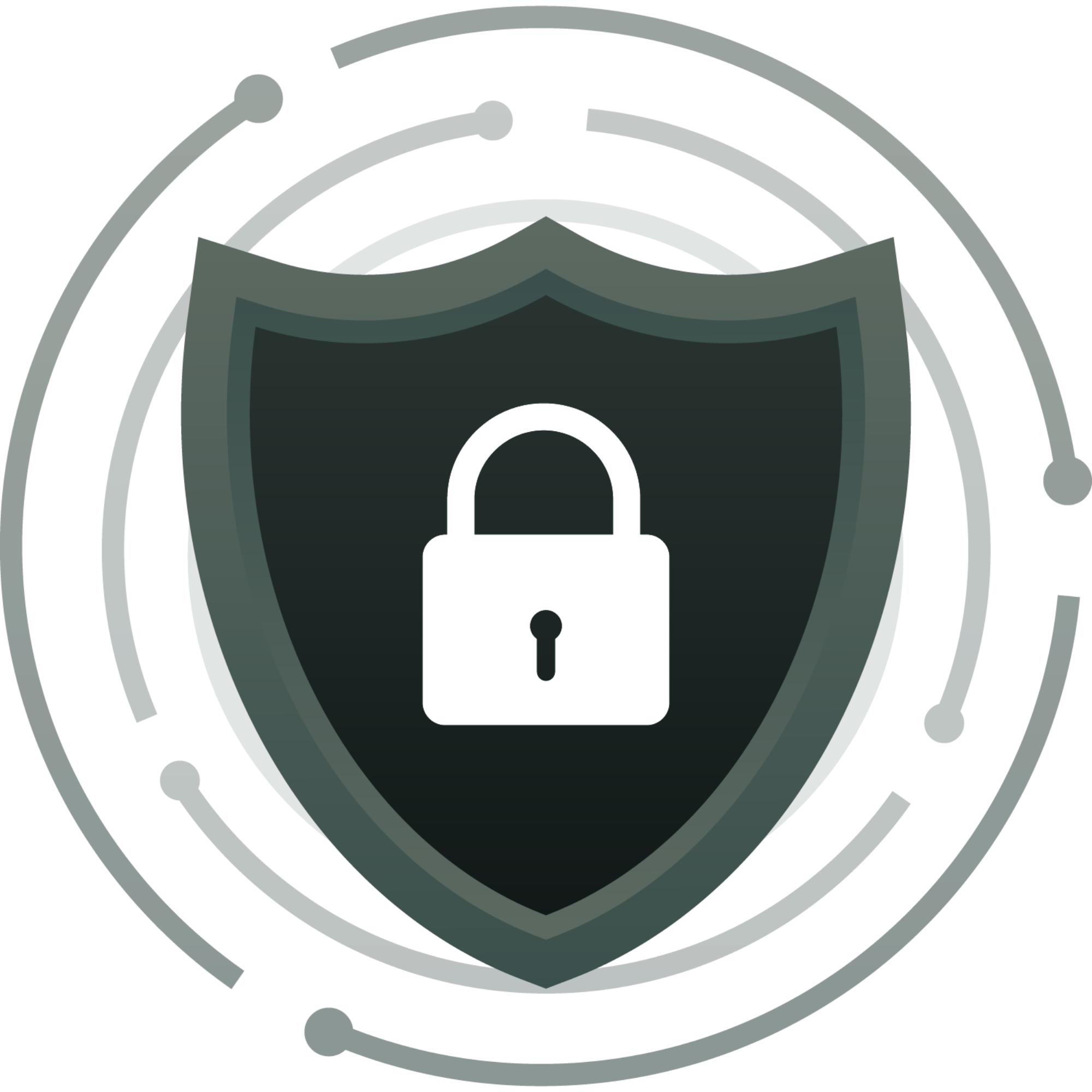 Shipping Protection